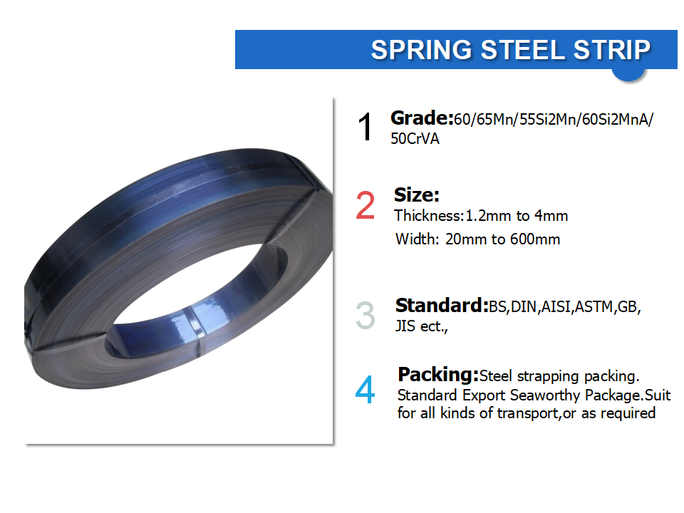 spring steel strip (1)